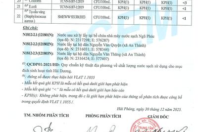 19012026125817-0008_25745