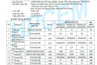 19012026125817-0023_c2e2d