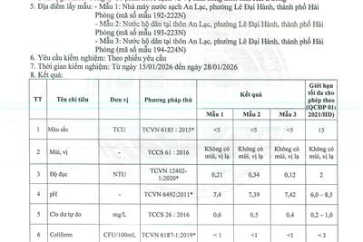 12022026115229-0007_e6315