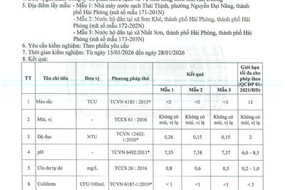 12022026115229-0013_c7865