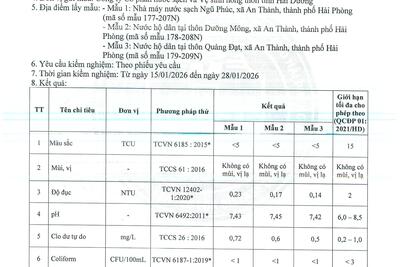 12022026115229-0019_7f161