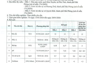 12022026115229-0021_5e1fd