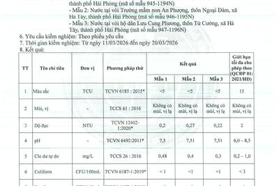 13042026184223-0013_7f655