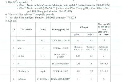 13042026184433-0011_aed42